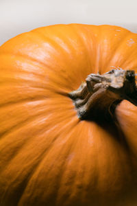 Close-up of pumpkin