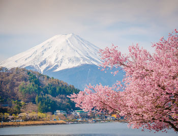 Scenic view of snow covered mountain against sky