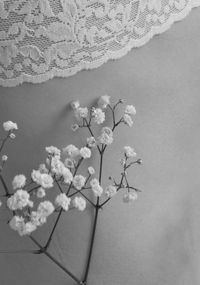 Close-up of white flowers