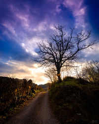 Road amidst bare trees on field against sky