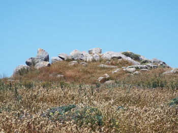 Scenic view of land against clear blue sky