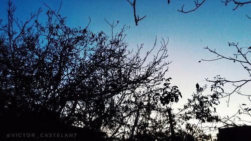 Low angle view of silhouette tree against sky