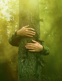 Woman standing by tree trunk