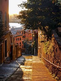 Narrow walkway in city