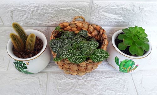 High angle view of vegetables on table