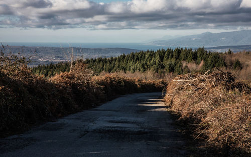 Road amidst agricultural field against sky