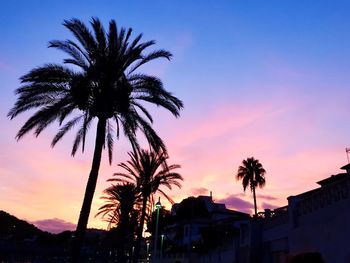 Low angle view of silhouette palm trees against sky