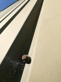 High angle view of shadow on sunny day