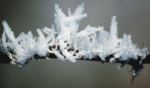 Close up of frozen white winter