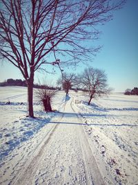 Scenic view of snow covered landscape