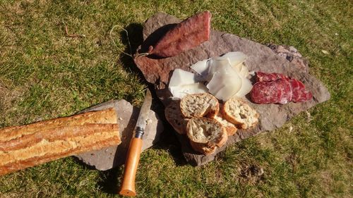 High angle view of food on field