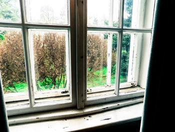 Close-up of window