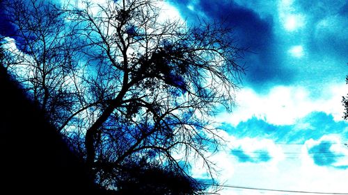 Low angle view of silhouette tree against sky