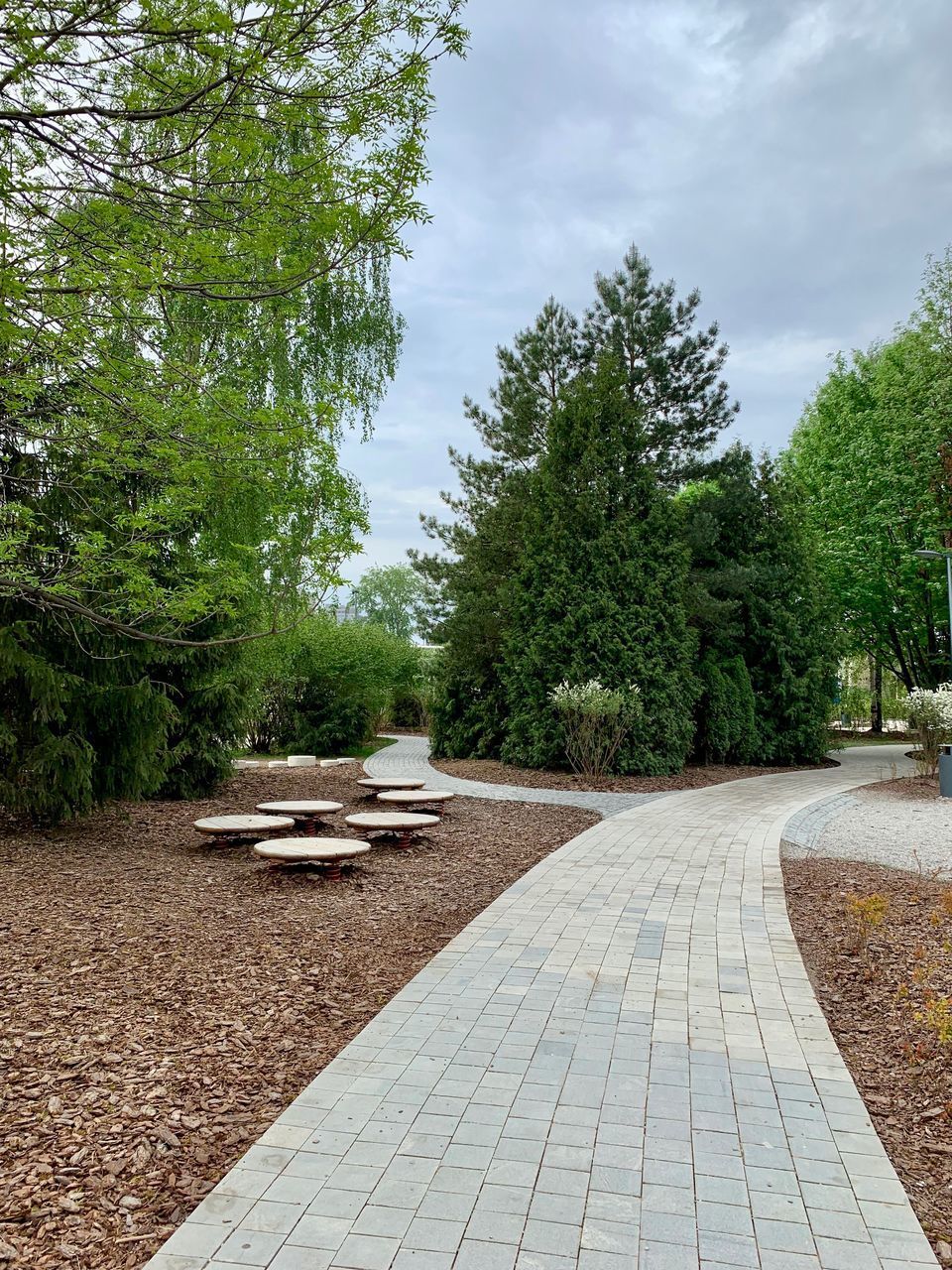 FOOTPATH AMIDST TREES IN PARK