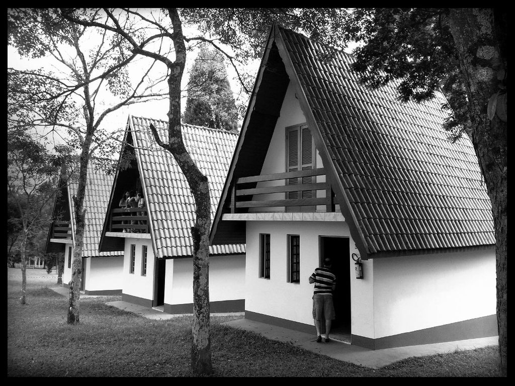 architecture, built structure, building exterior, transfer print, tree, chair, house, auto post production filter, sunlight, residential structure, absence, roof, empty, day, residential building, shadow, city, railing, seat, outdoors