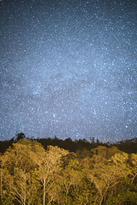 Scenic view of trees against sky at night