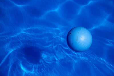 Close-up of jellyfish swimming in pool