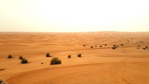 Scenic view of desert against clear sky