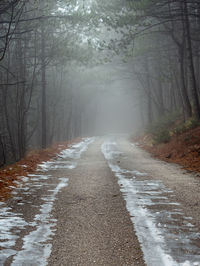 Empty road amidst trees in forest during winter