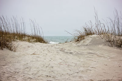 Scenic view of beach against clear sky