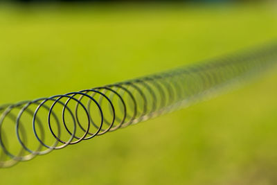 Close-up of green leaf
