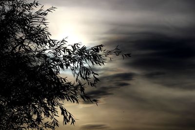 Silhouette trees against cloudy sky