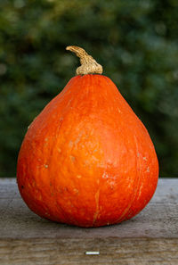 Close-up of orange pumpkin on table