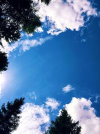 Low angle view of trees against cloudy sky