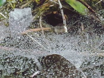 Close-up of splashing water