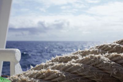 Close-up of sea shore against sky