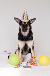 Portrait of dog wearing part hat against white background