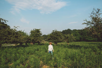 Rear view of woman standing amidst plants on field against sky