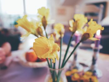 Close-up of yellow flowers blooming outdoors