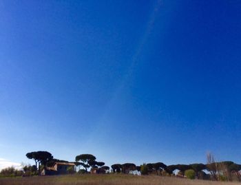 Trees on landscape against clear blue sky