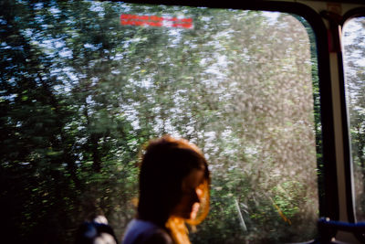 Rear view of woman seen through train window in forest