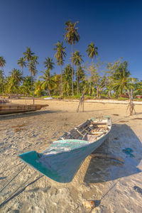 Palm trees on beach against blue sky