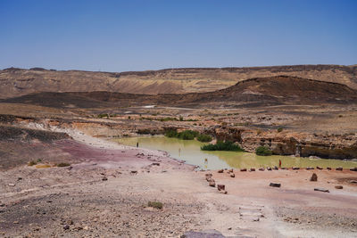 Oasis in ramon crater