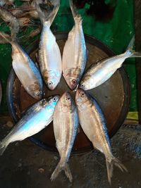 High angle view of fish for sale at market