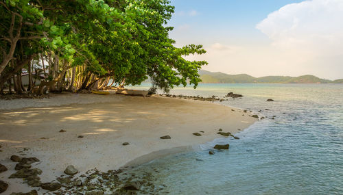 Scenic view of beach against sky