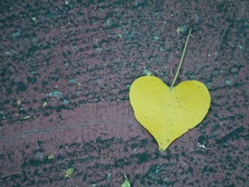 High angle view of heart shape leaf on stone