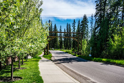 Road amidst trees against sky