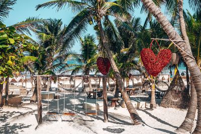 Empty swing with heart shape object hanging on tree at beach resort