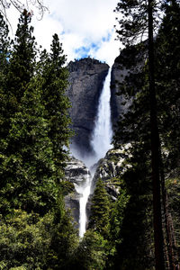 Low angle view of waterfall in forest