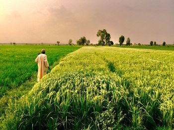 Rear view of man standing in farm