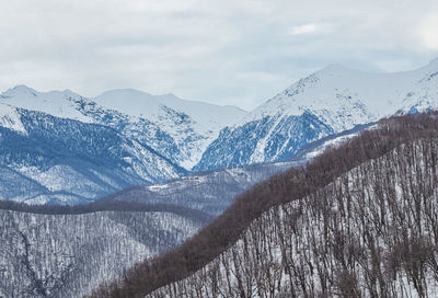 Beautiful landscape. snowy peaks of the caucasus mountains. slopes covered with forest.