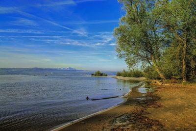 Scenic view of beach against sky