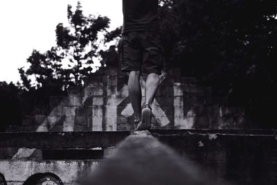 Woman standing on tree trunk