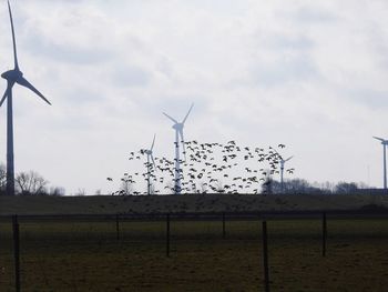 View of wind turbines on field against sky