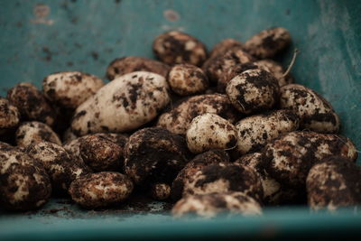 Close-up of dirty vegetables