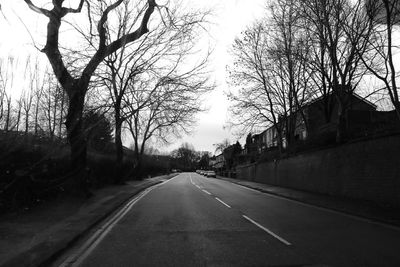 Empty road along trees